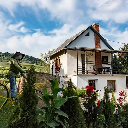 Somlo - Szalmaeger Vendeghaz Holiday home *